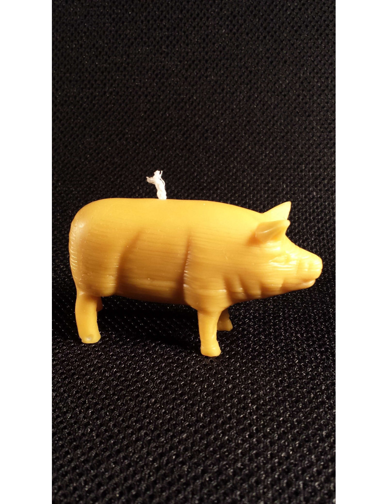 C049  Pig
