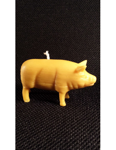 C049  Pig