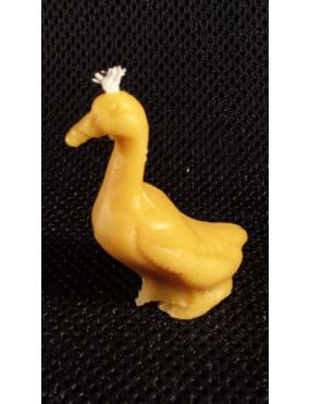 C056  Duck