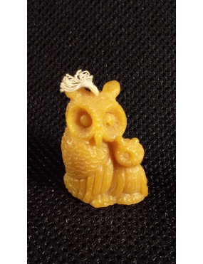 C077  Owls