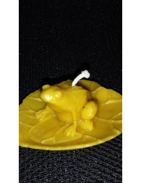 C050  Frog on a leaf