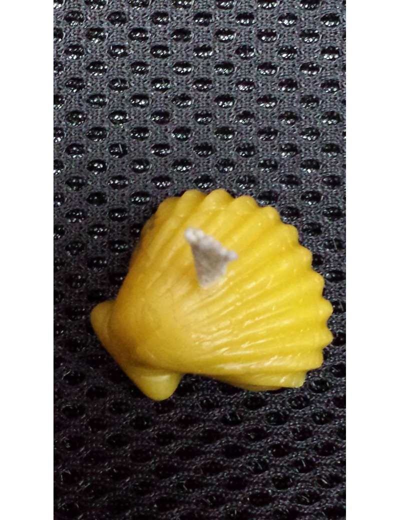 C085  Shell