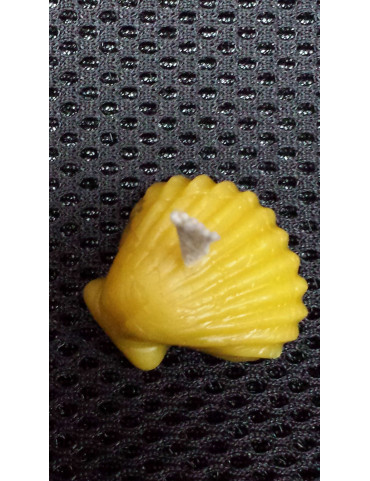 C085  Shell