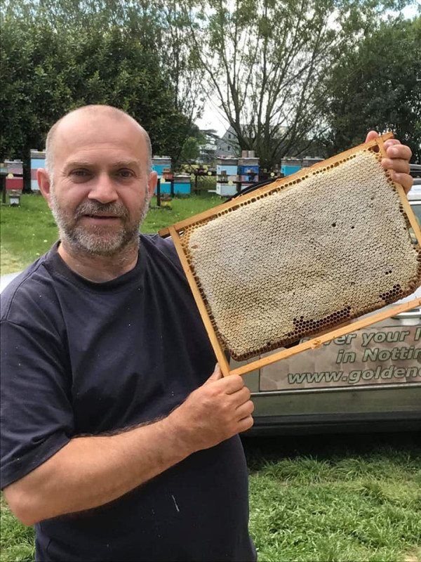 Perfectly capped and sealed honey frame ready for harvest