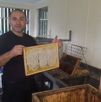 Fresh honey frame on the uncapping table ready for extraction