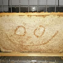 Honey frame with our special “smile” pattern – happy bees, happy beekeeper
