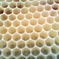 Another fresh frame with beautiful pattern of new eggs