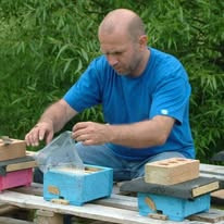 Checking the mating nucs during the queen rearing process