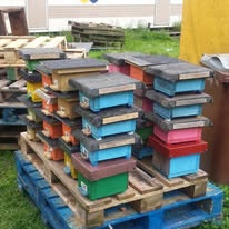 Empty mating nucs prepared and ready for new queens