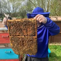 When given enough space the bees naturally build and enlarge the frame size themselves