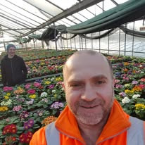 Our bees foraging on flowers inside the polytunnel