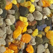 Colourful pollen pellets collected by the bees – nature’s own rainbow