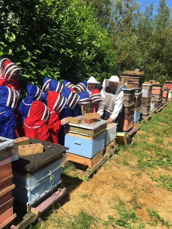 e stand behind the hives so we don’t disturb the bees during the visit