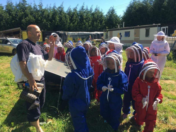 Explaining safety rules and how to move safely around the apiary