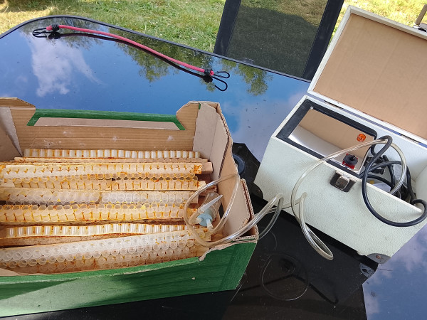 Equipment used for collecting royal jelly