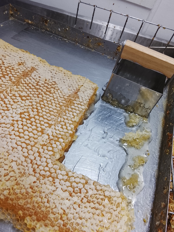 Dividing honeycomb portions into containers for customers