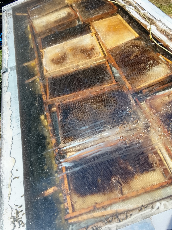 Solar wax melter fully loaded with frames ready for melting