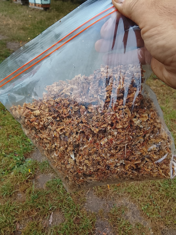 Freshly harvested propolis – nature’s powerful antibiotic from our hives